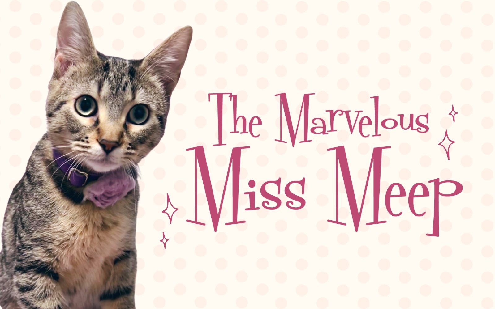 The Marvelous Miss Meep - Lawrence Humane